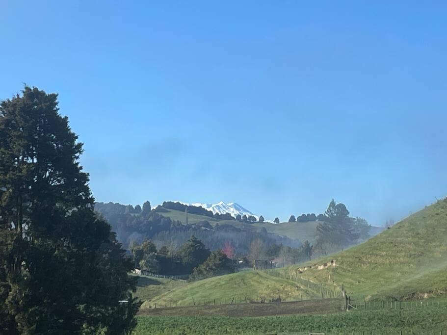 Bush Cabin Your Own Place Stunning Views Taumarunui Zewnętrze zdjęcie
