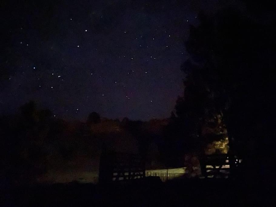 Bush Cabin Your Own Place Stunning Views Taumarunui Zewnętrze zdjęcie